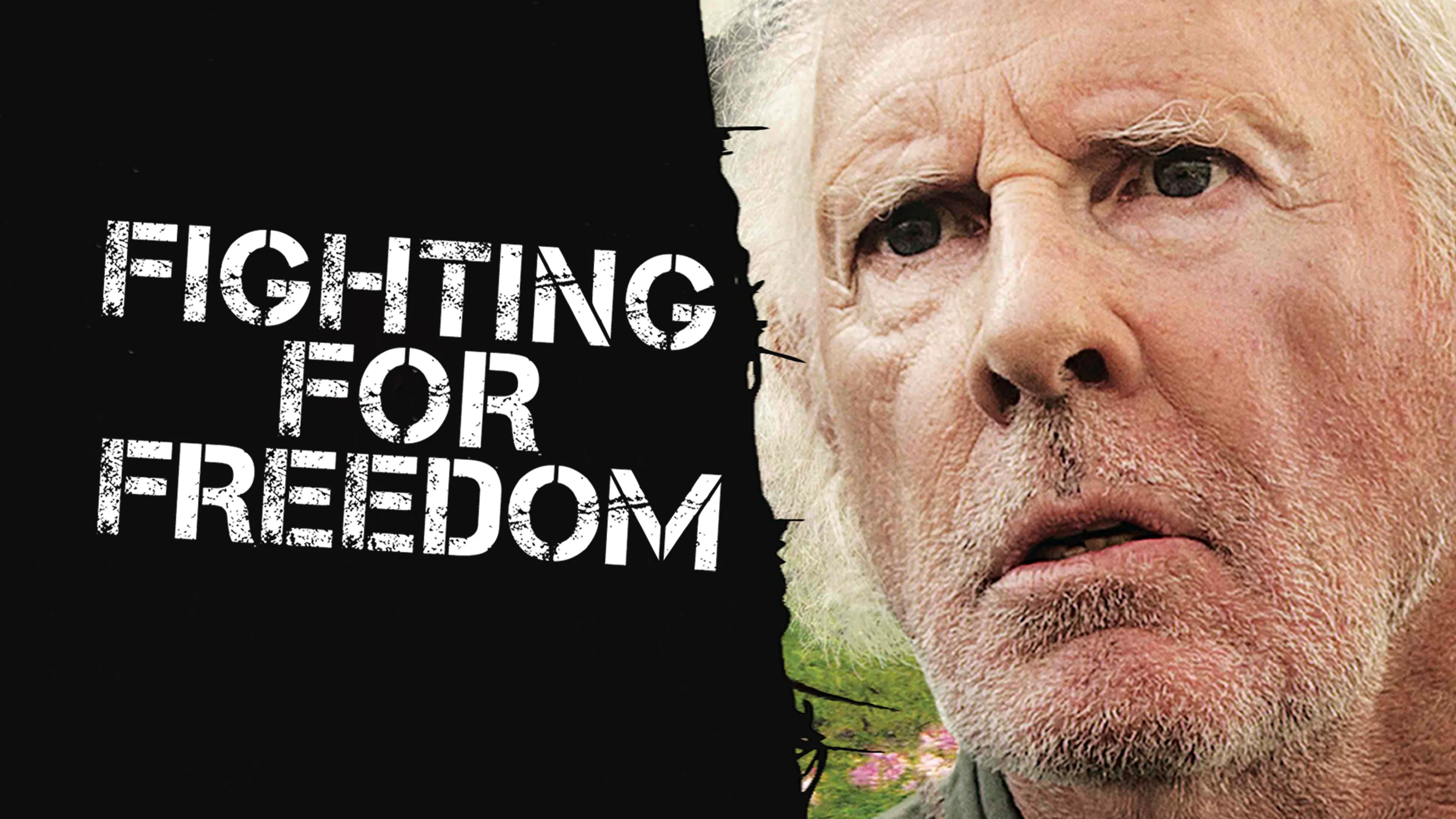 Fighting for Freedom poster